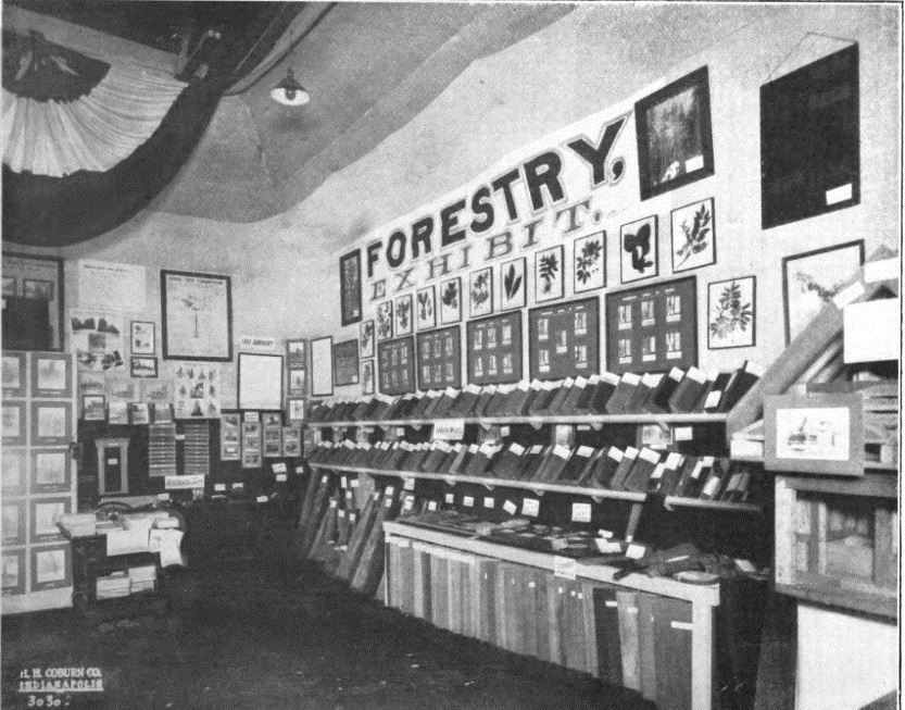 photo-7_forestry-exhibit-in-state-fair-sept-8-12-1913