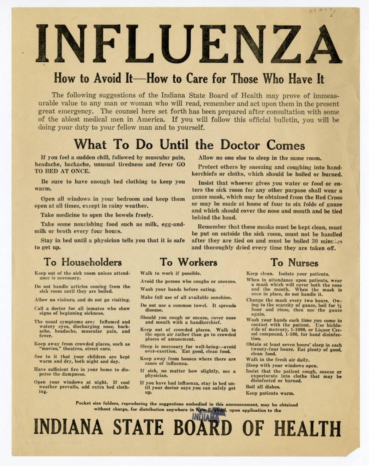 essay on the spanish flu