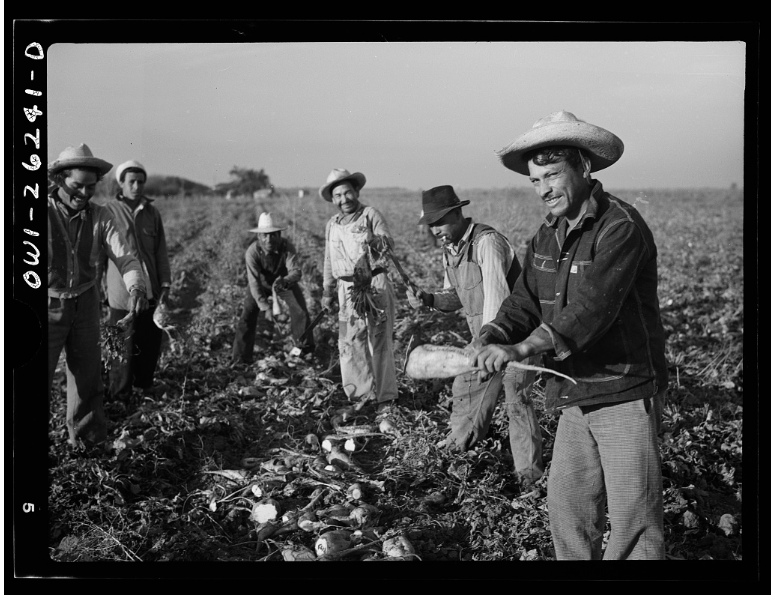 Myth of the Mexican Monolith: Experiences of Bracero, Migrant, and U.S. Workers of Mexican Origin at Sechler’s Pickles Inc. Part One